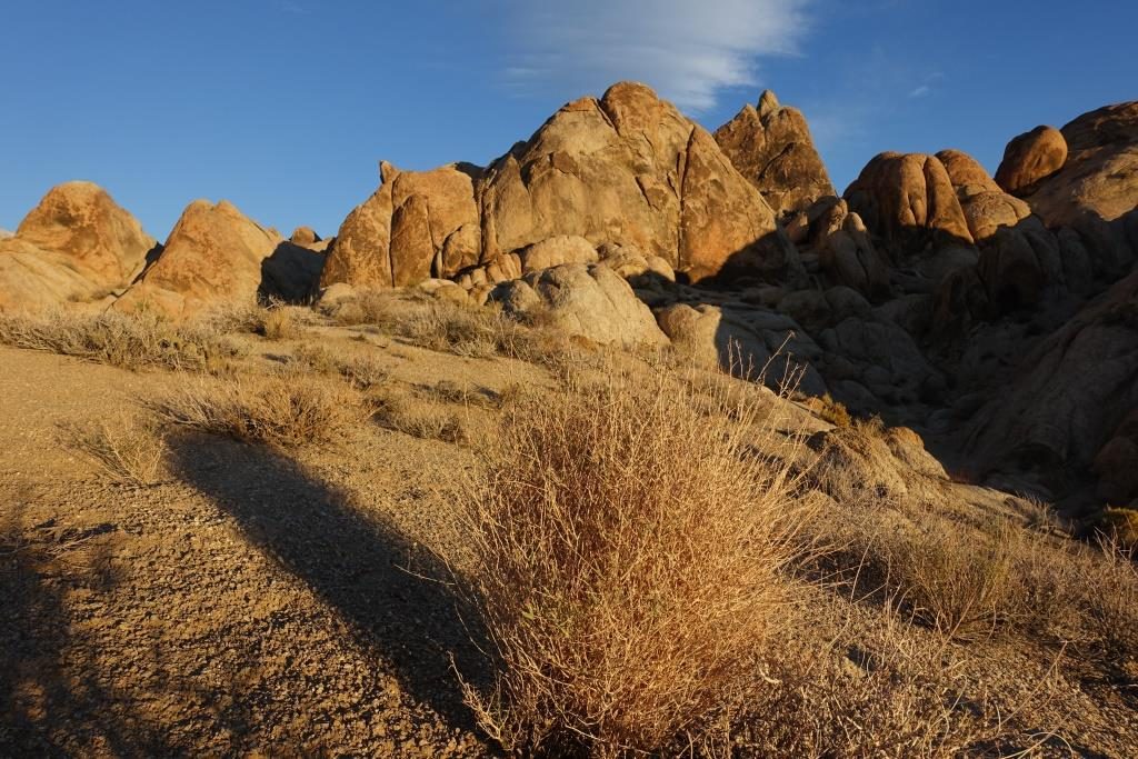 tumbleweed-in-alabama-hills