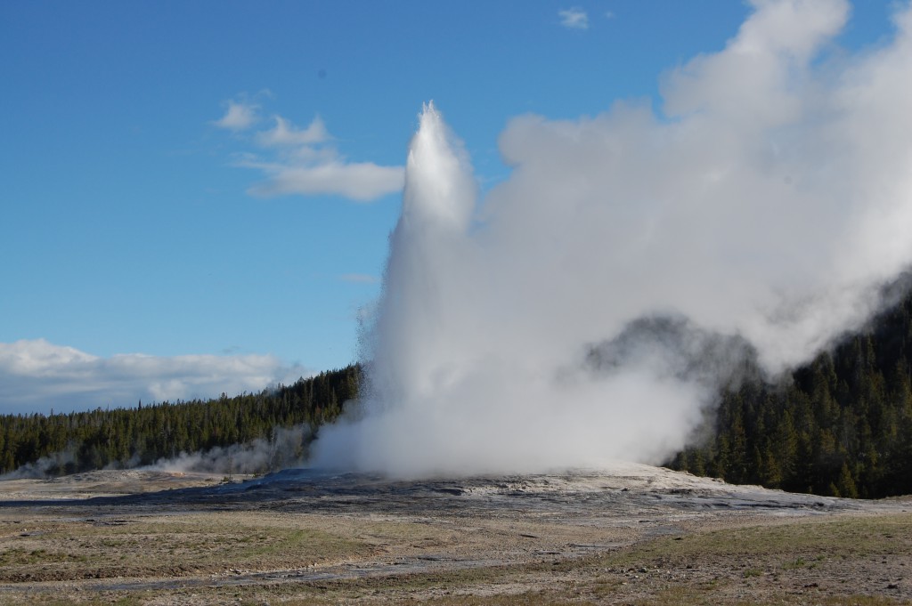 Old Faithful 