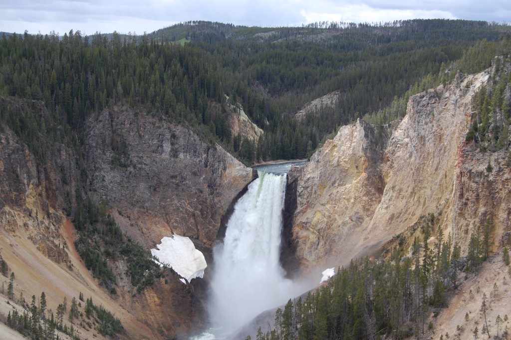 Grand Canyon i Yellowstone