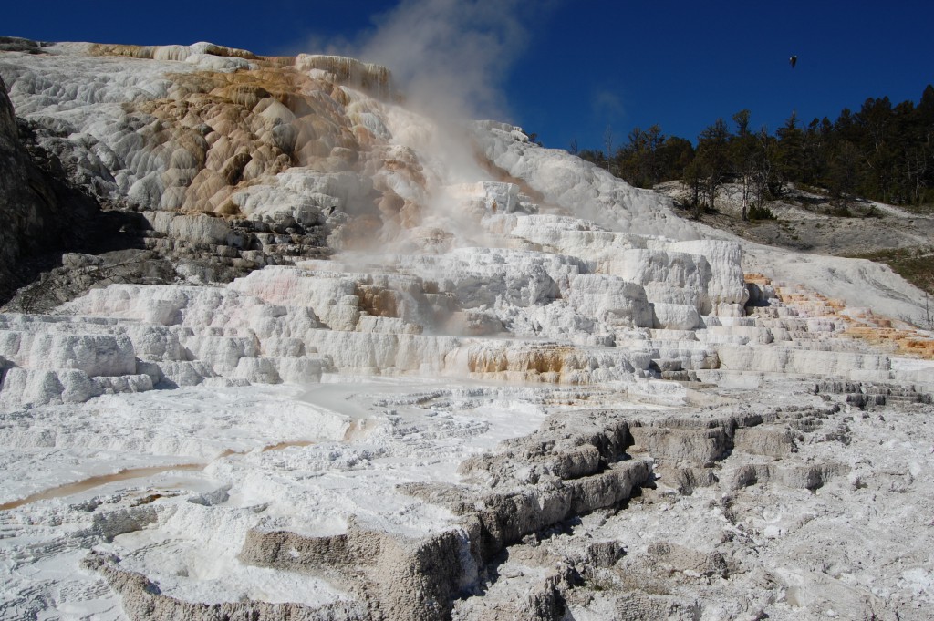 Kalkstensklippor i Mammoth Hot Springs