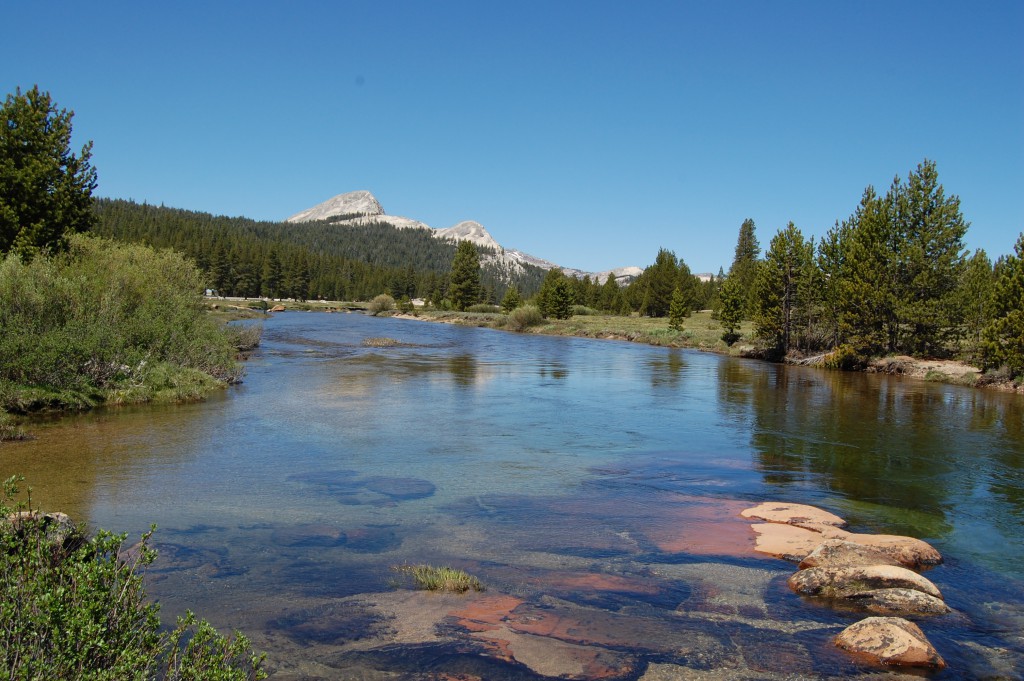 Toulomne Meadows, CA